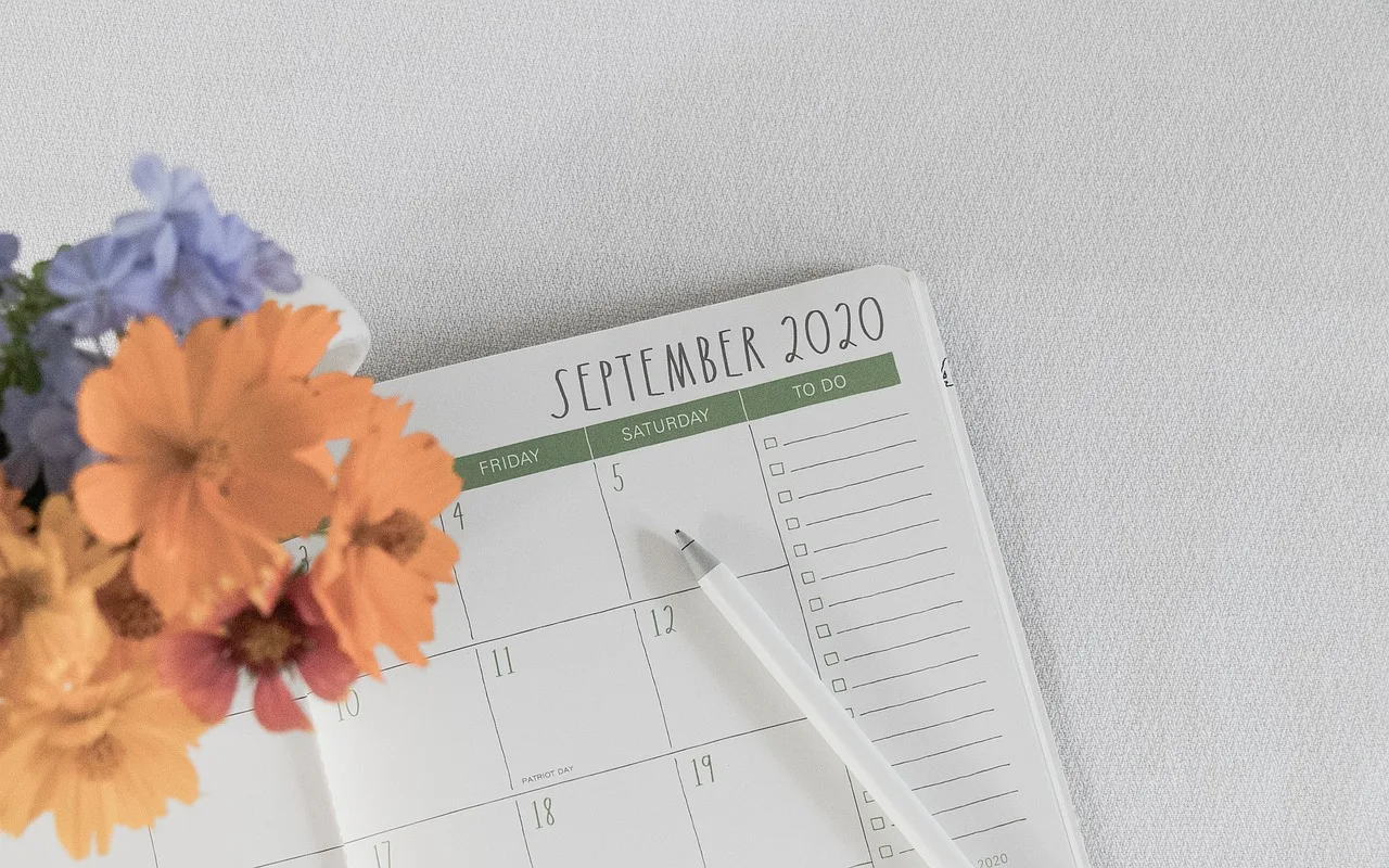 planner, september, calendar, schedule, organizer, year, months, days, nature, flower background, planning, 2020, lists, pen, flowers, beautiful flowers, flower wallpaper, flat lay, appointment, table, routine